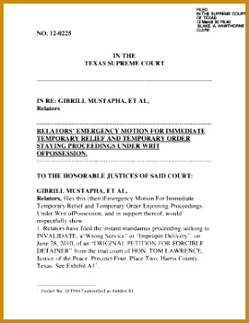 emergency motion to stay form in case 358277