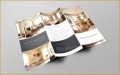 7 Interior Design Company Brochure