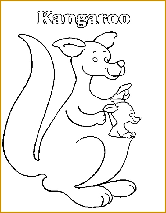 K is for kangaroo coloring pages 697544