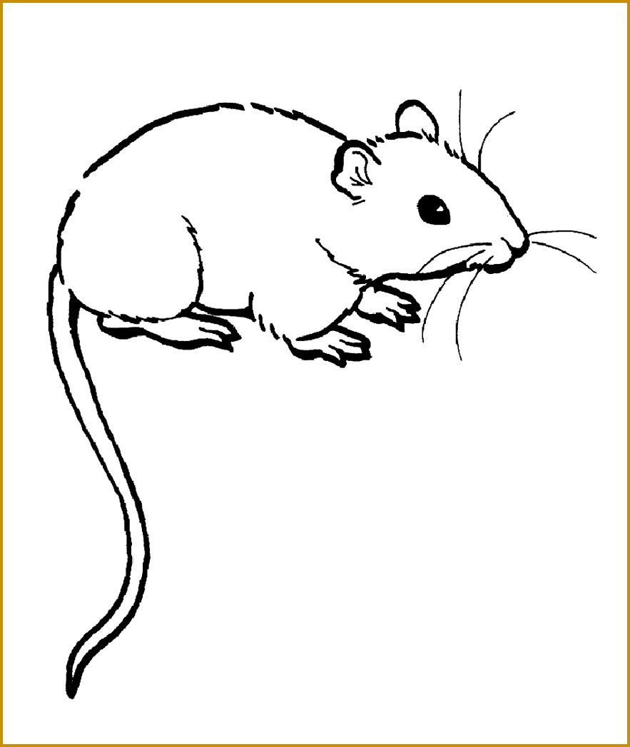 Free Printable Rat Coloring Pages For Kids And 1047883