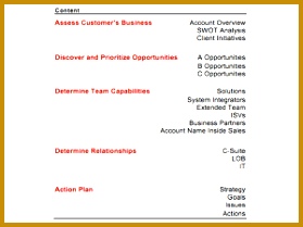 Strategic Account Plan Template 209279