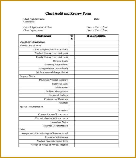 Patient Chart Template – 10 Free Sample Example Format Download regarding Patient Chart 634544