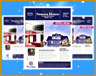 Real Estate advertising Flyer Template Editable in Microsoft Word Publisher Powerpoint shop 316251