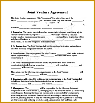 Joint Venture Agreement 344316