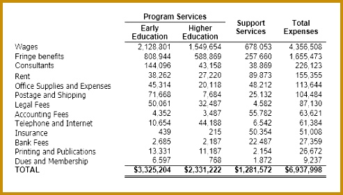 Understanding Nonprofit Financial Statements 281493
