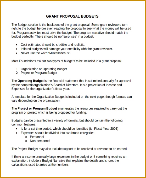 non profit project sample 678558