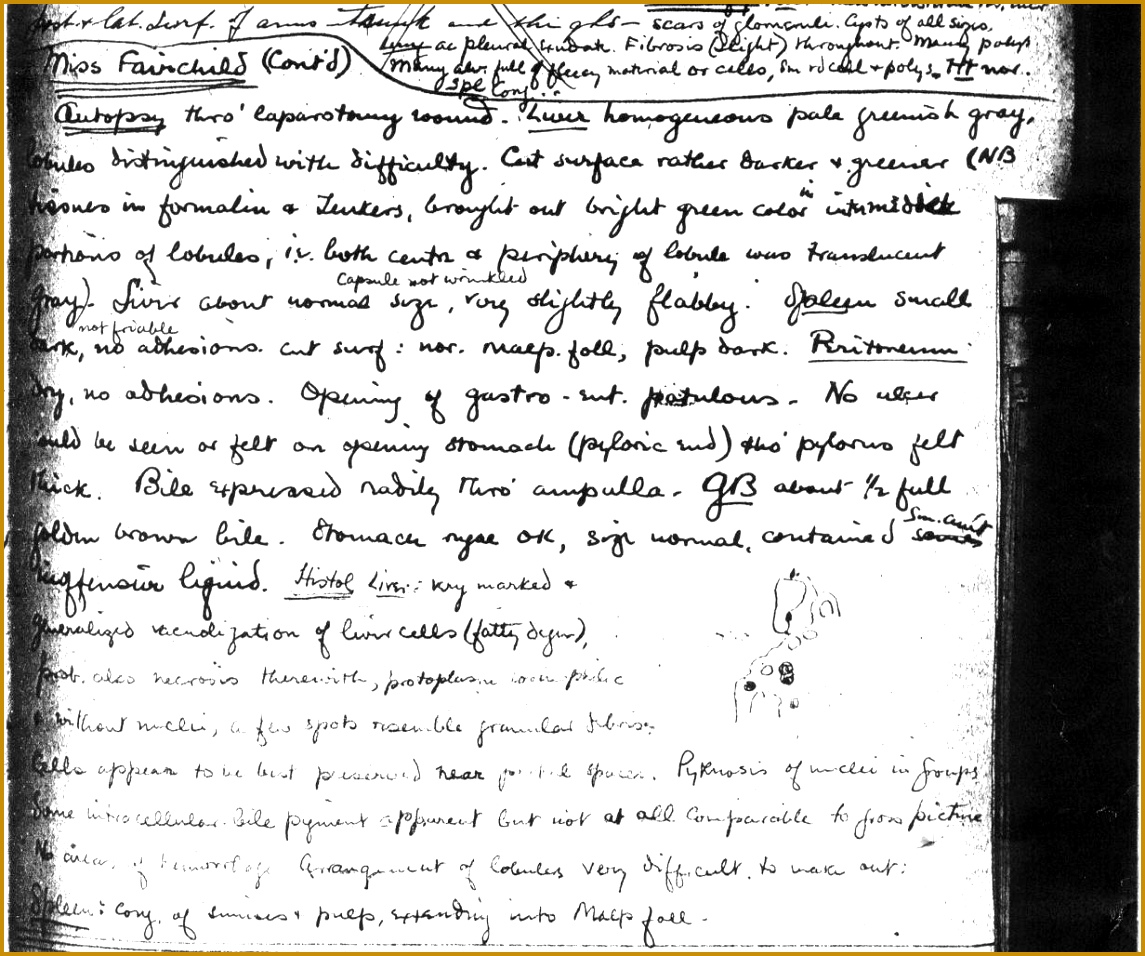 Between these two graphics were the notes on another postmortem examination they were removed in the scanning process to avoid confusion 9561145