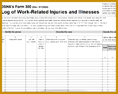 Recordkeeping and Reporting of Worker Injuries OSHA 300 Log hzmpj OSHA300Screenshot 184232