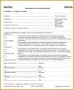 3 Performance Report Sample format