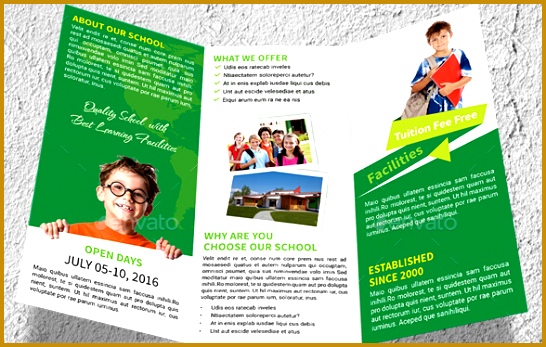 primary school brochure pdf 10 awesome school brochure templates designs ideas 347546