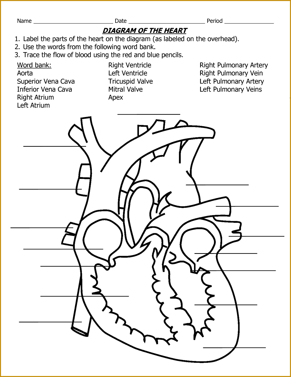 Simple Heart Diagram label 15341185