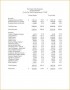 4 Pro forma Financial Statement Template