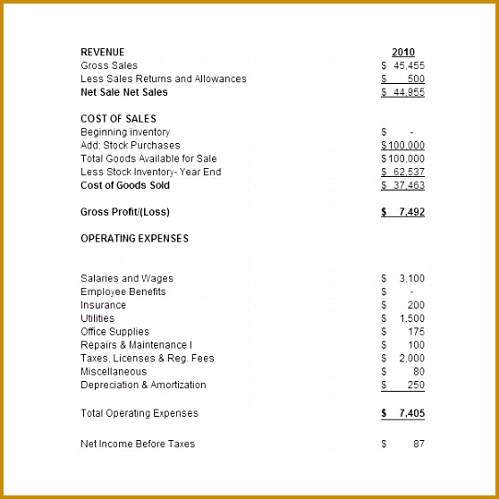 Business Financial Statement Template Excel 558558