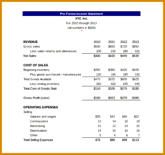 10 Pro Forma Financial Statement Template 557524