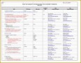 7 Pro forma Financial Template