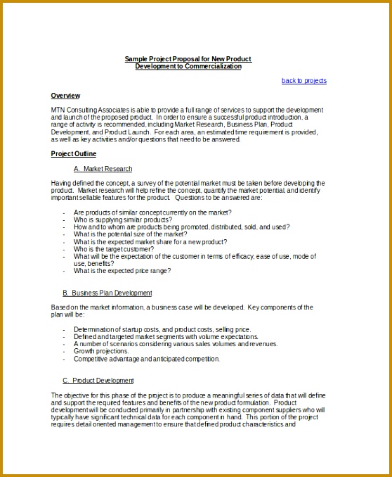 Consulting Project Proposal Template 678558