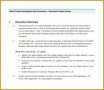 3 Product Outline Template