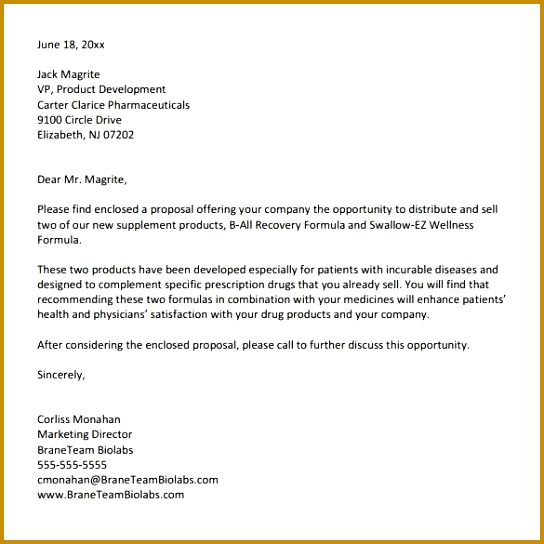 32 Sample Business Proposal Letters 544544