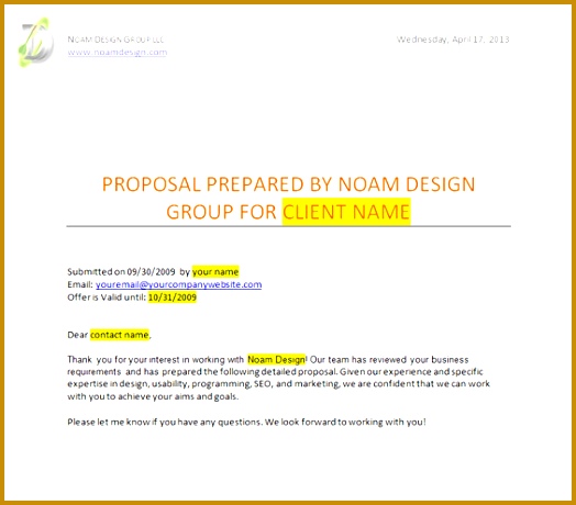 Professional Web Design Proposal Template 460524