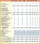 4 Project Financial Analysis Template
