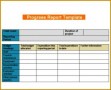 5 Project Update format