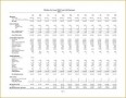 4 Projected Financial Statements Template