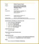 3 Report to Manager format