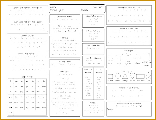 Progress Report weekly in English and Spanish ledger paper 404524
