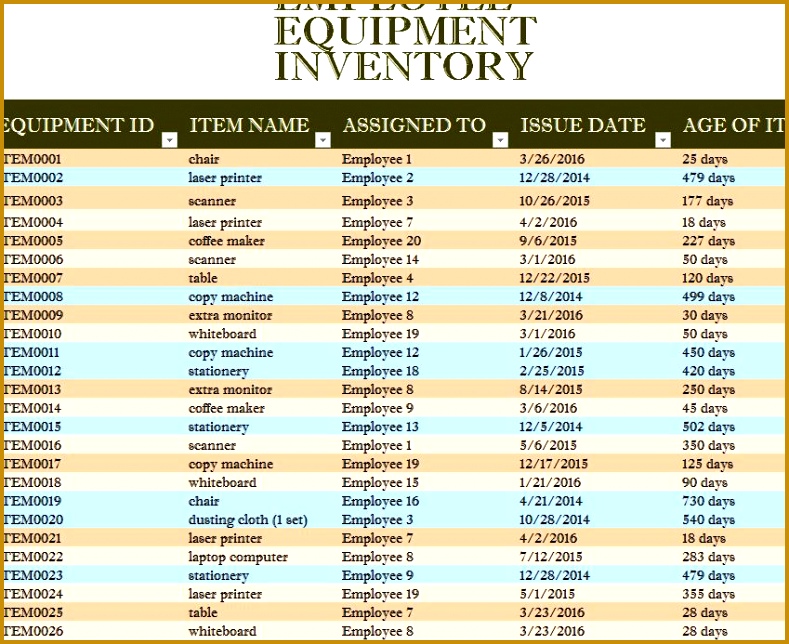 Employee Equipment Inventory Sheet 644789