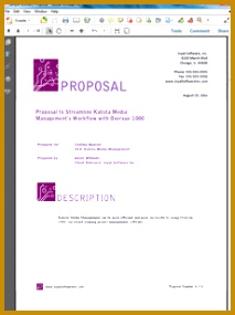 Sales Proposal Templates Examples 285213
