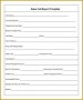 4 Sales Visit Report format