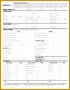 6 Sample Personal Financial Statement Template