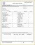 7 Sba Personal Financial Statement Template