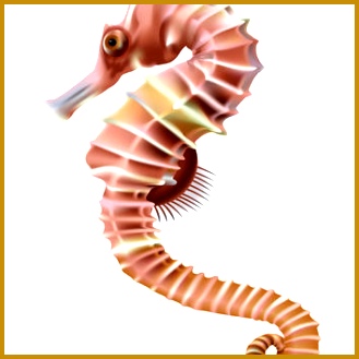 Water Baby Image Seahorse Cutout Seahorse Image Fish Image Fish Template 329329