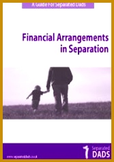 Sample Separation Agreement okPyg 167237