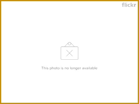 Au nce Analysis Template 347465