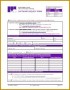 4 software Development Request form Template