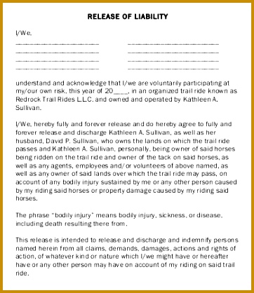 Blank Release of Liability Form Template 418362
