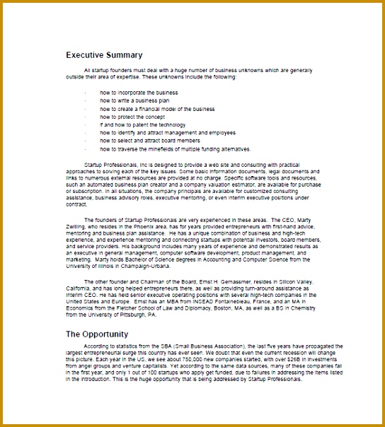 Executive Summary A Business Plan Template Startup Business Plan Template 10 Free Word Excel Pdf Format Templates 544604