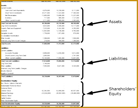 Balance Sheet Snapshot 365465