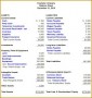3 Template for Balance Sheet and Income Statement