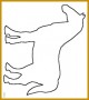 7 Template Of A Horse