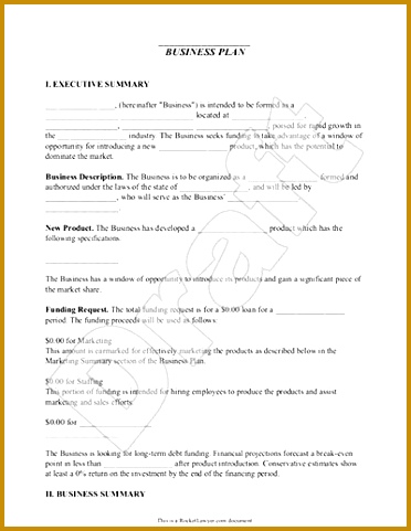 Sample Business Plan Form Template 372481