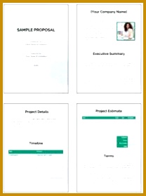Free business proposal template PPT 279208