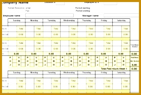 Biweekly Time Sheet Template 187279