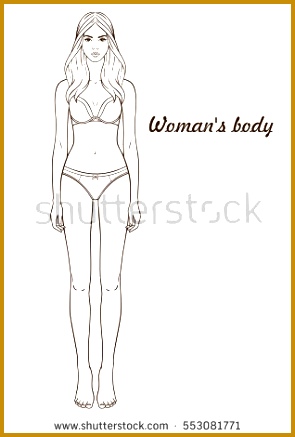 Vector illustration of woman s body Isolated outline line contour Template girl in underclothes 437295