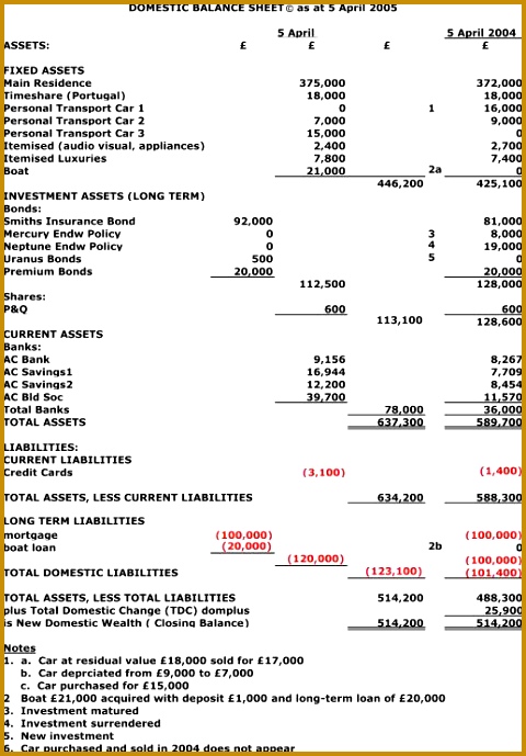 image Example Domestic Balance Sheet 480689