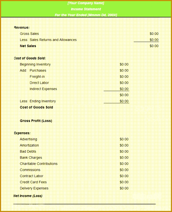 Profit and Loss Statement Template in Excel 803651