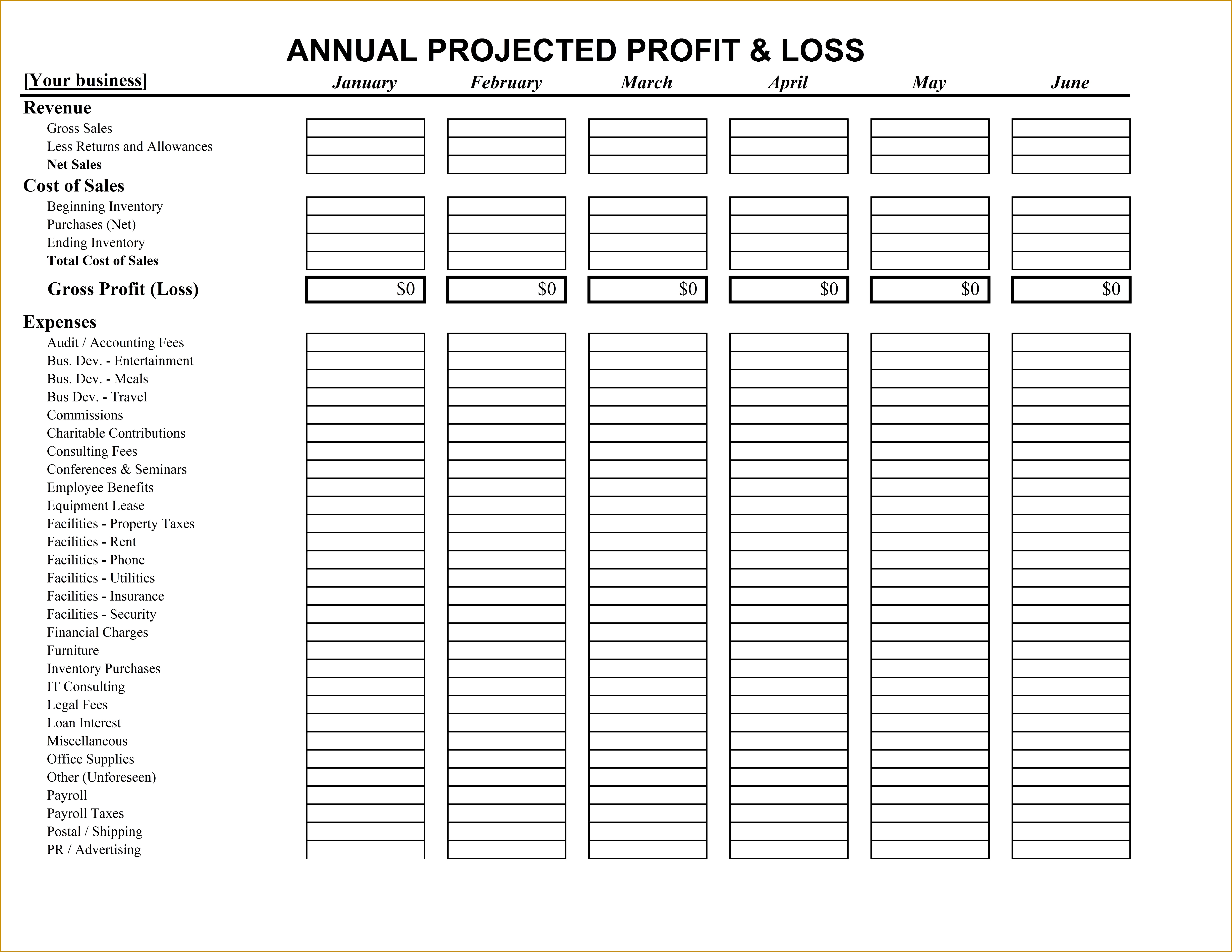 profit and loss template 555 61384743