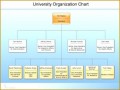 8 Business Flowchart Template